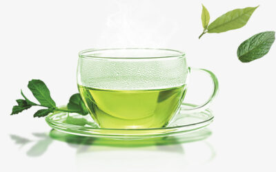 Luz verde para o chá verde -: estudo com base em modelo animal associa a toma de chá verde à diminuição do risco de obesidade (Ohio State University)