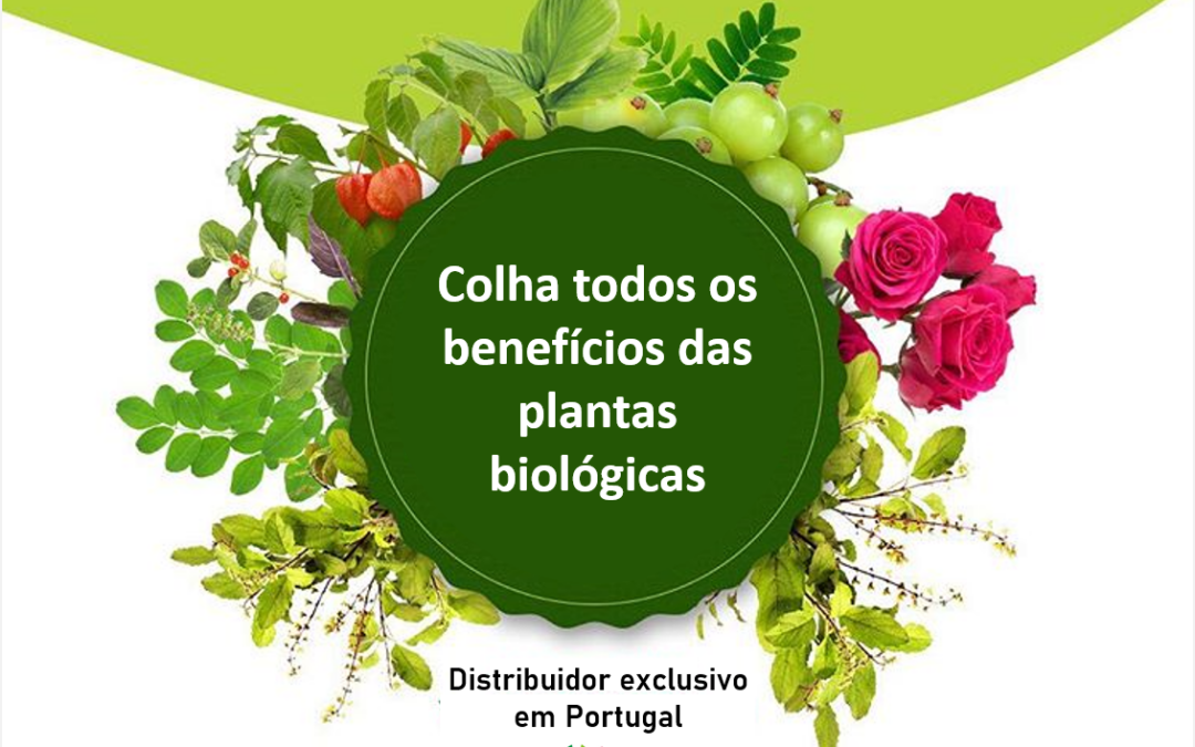 Colha os benefícios das plantas biológicas (vídeo)