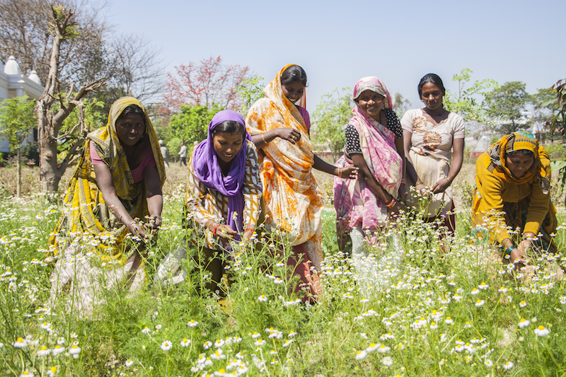 A Organic India e o empoderamento das mulheres