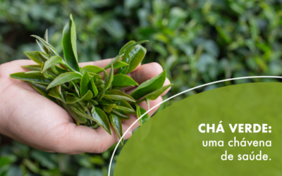 Chá verde: uma chávena de saúde
