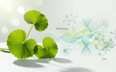 Gotu Kola e Menopausa: Abordagem baseada em evidência